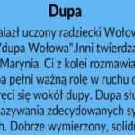 31a